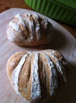 Rustic French Bread
