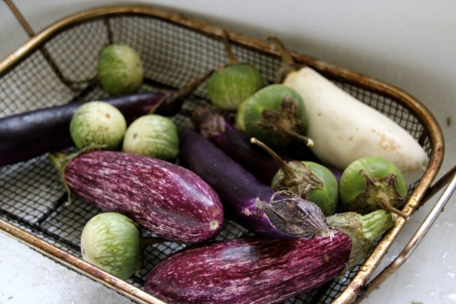 Aubergine Grillées