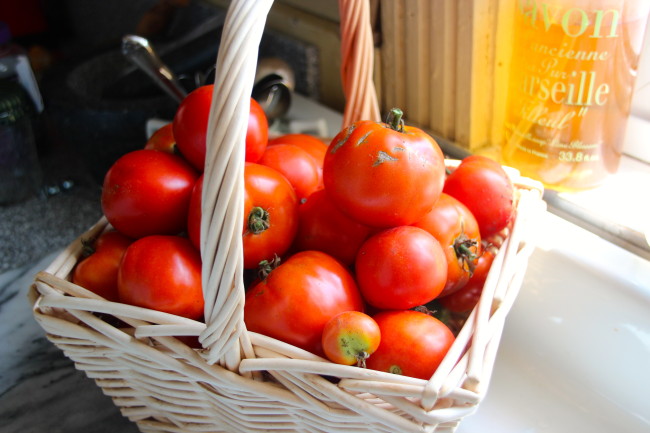 Garden Tomatoes